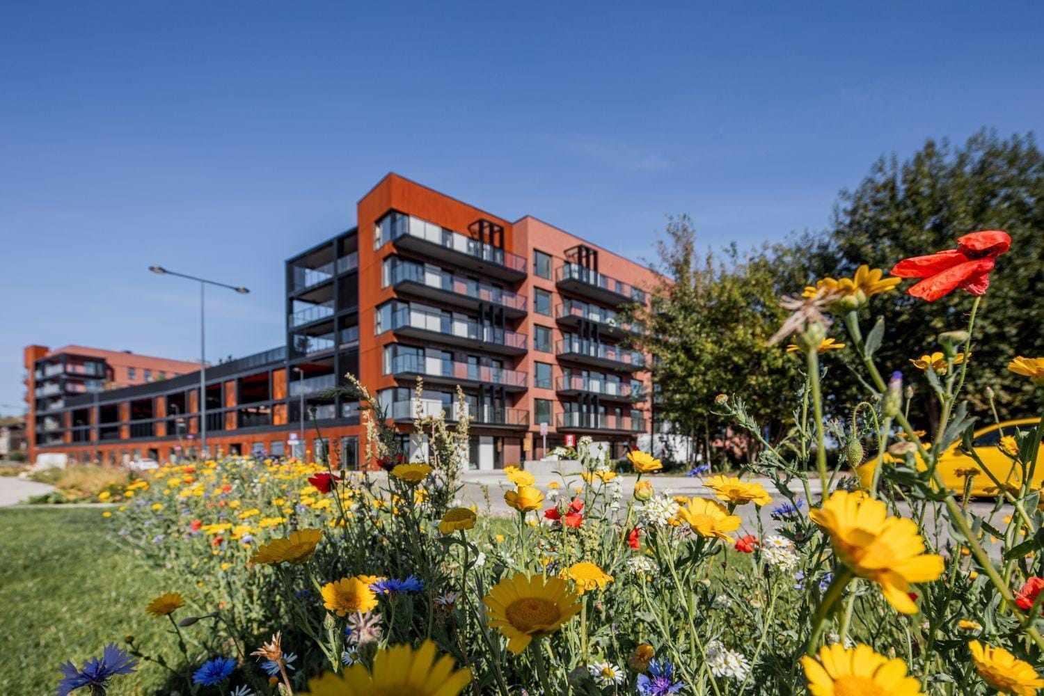 Apartament Nadmotławie 34 Gdańsk Zewnętrze zdjęcie